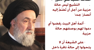 السيد علي الامين