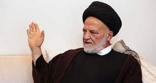 السيد محمد حسن الأمين